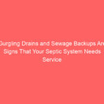 Septic Helper 2000 Shelf Life
