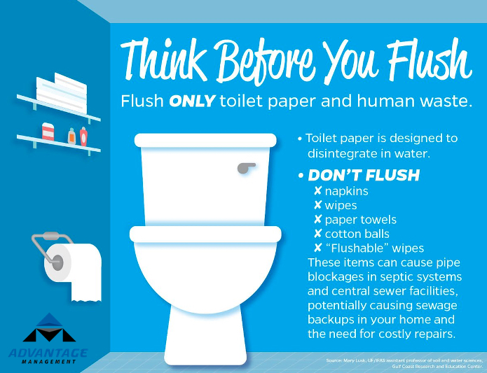 why you shouldnt flush tampons down the toilet