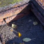 How to Tell If Your Septic Tank is Full